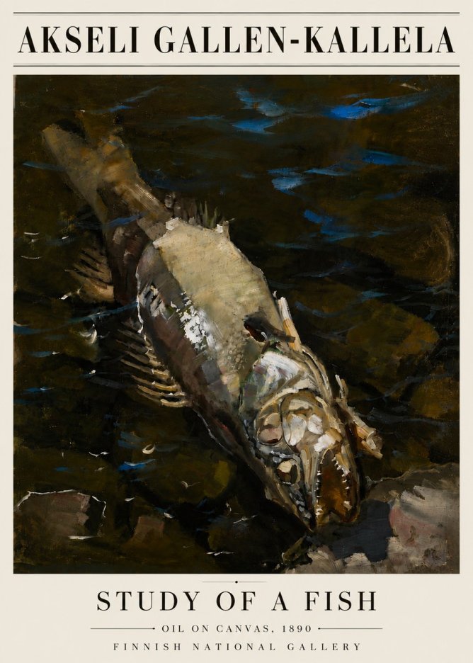 Akseli Gallen-Kallela Study of a Fish No6 - Plakát