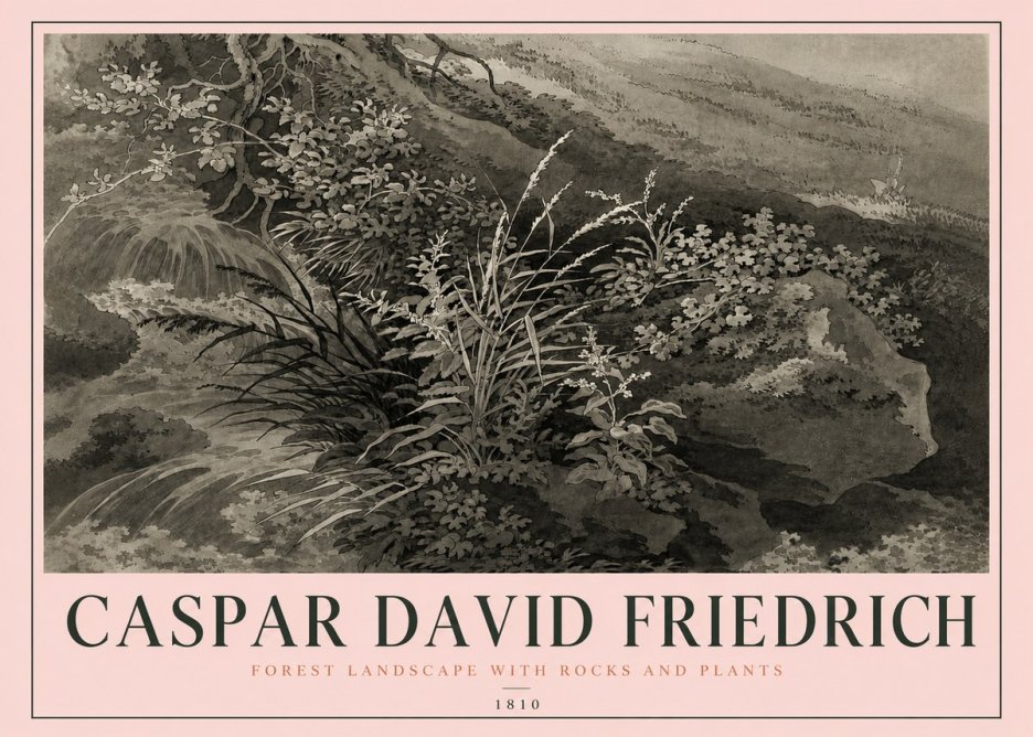 Caspar David Friedrich Forest Landscape with Rocks and Plants No4 - Plakát