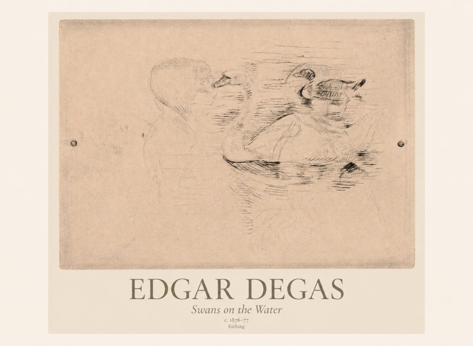 Edgar Degas Swans on the Water No1 - Plakát