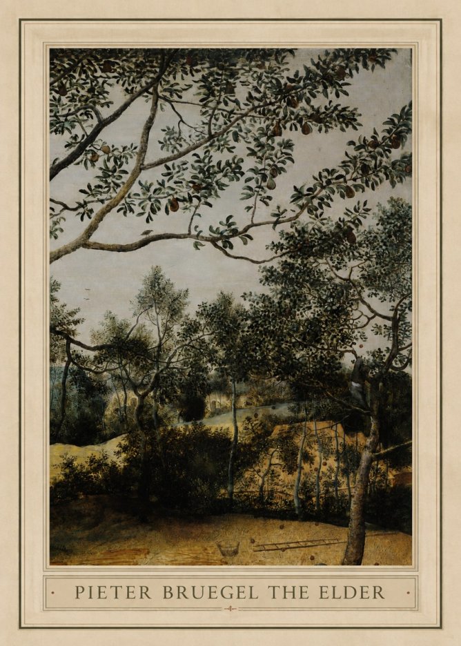 Pieter Bruegel Branch of a Pear Tree No1 - Plakát