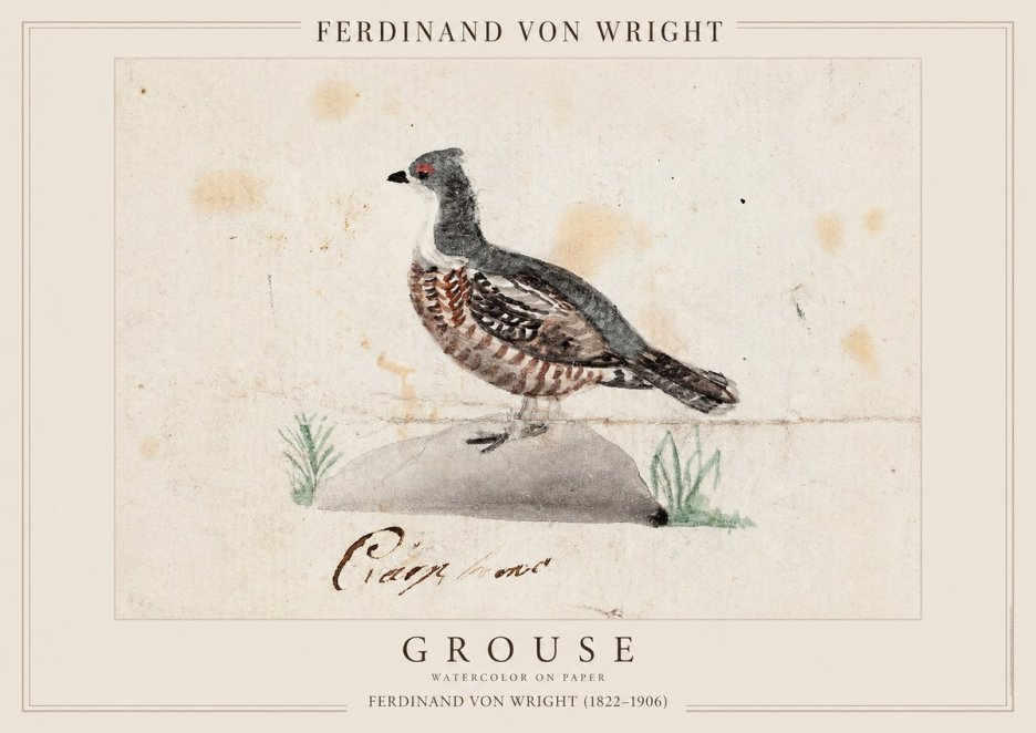 Ferdinand von Wright Grouse No1 - Plakát