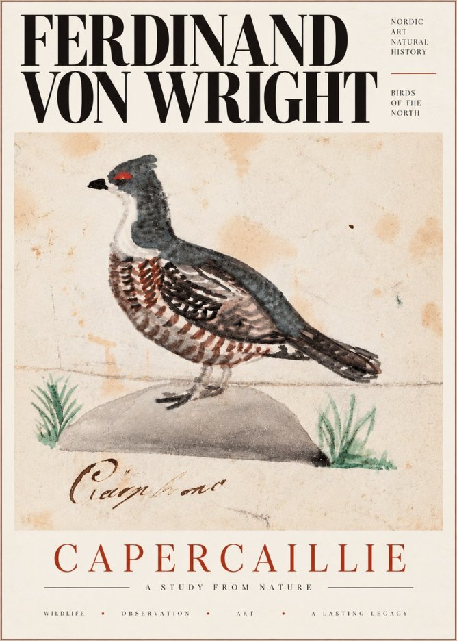 Ferdinand von Wright Grouse No6 - Plakát