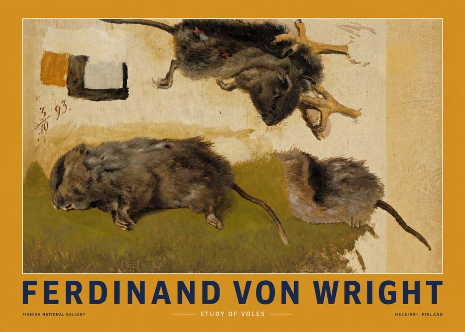 Ferdinand von Wright Studies of Lemmings No3 - Plakát