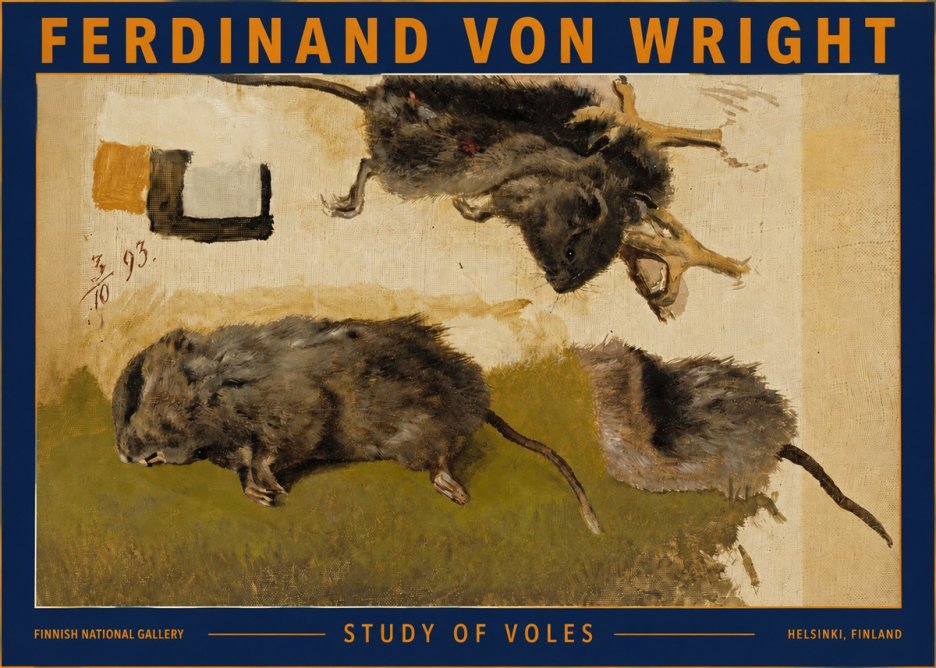 Ferdinand von Wright Studies of Lemmings No5 - Plakát