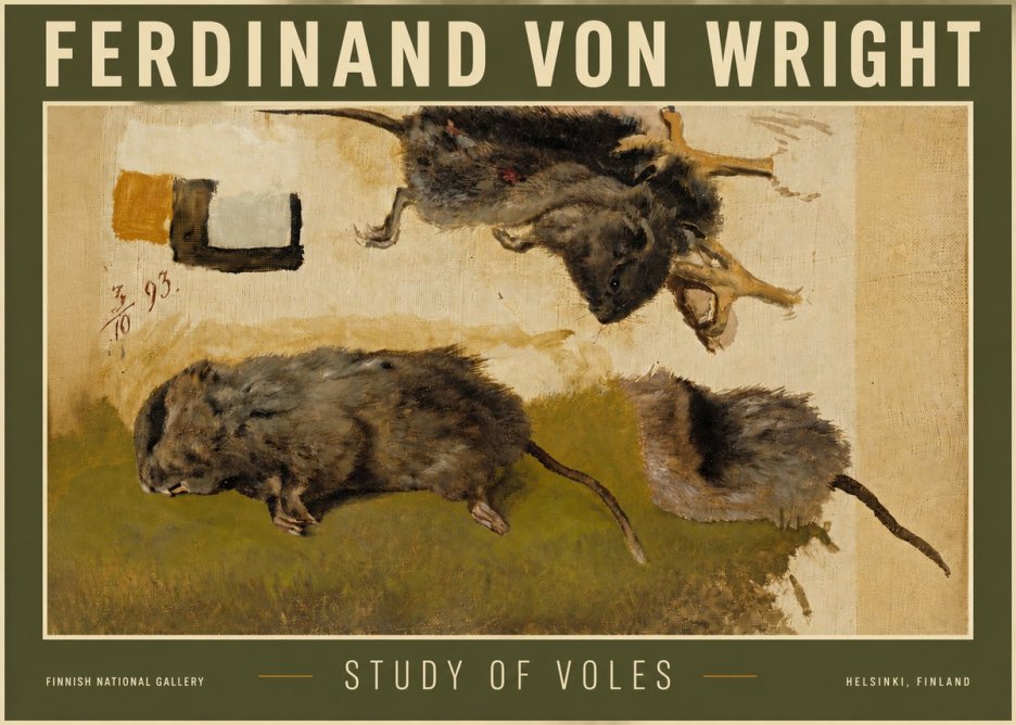Ferdinand von Wright Studies of Lemmings No6 - Plakát