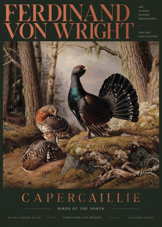 Ferdinand von Wright Wood Grouse in a Forest Landscape No6 - Plakát