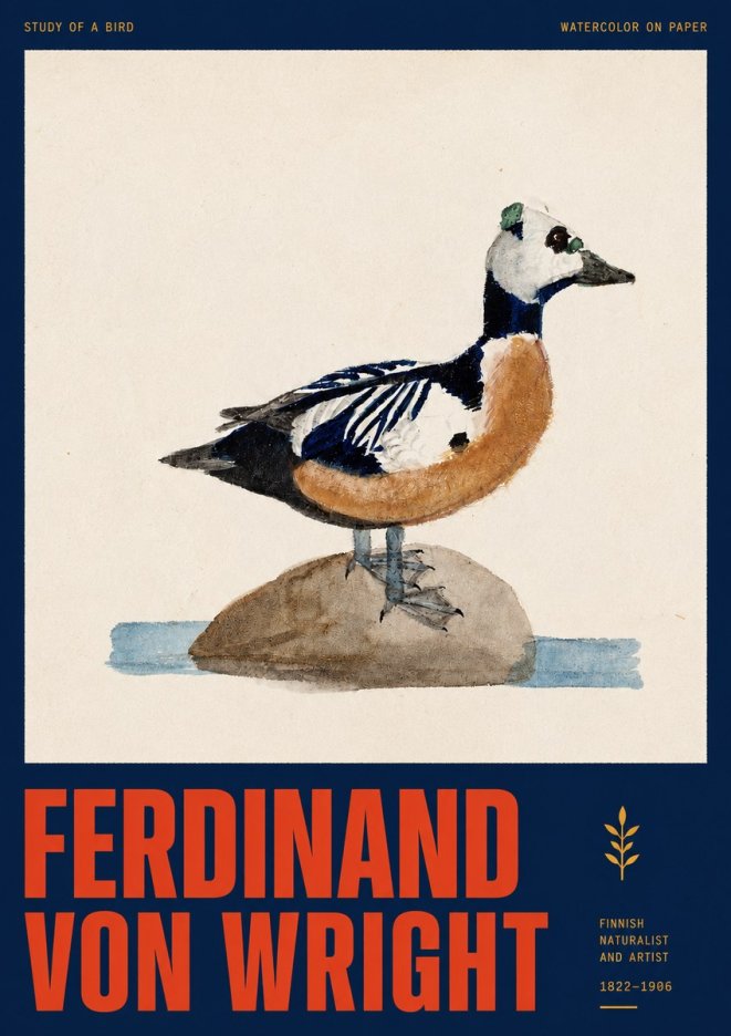 Ferdinand von Wright Study of a Bird No2 - Plakát