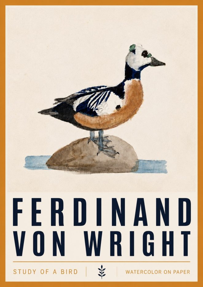 Ferdinand von Wright Study of a Bird No4 - Plakát