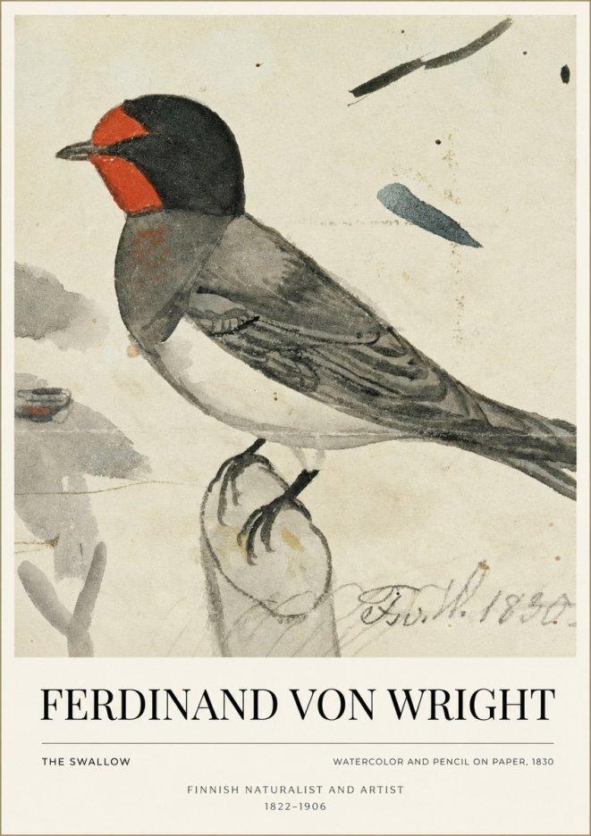 Ferdinand von Wright The Swallow No1 - Plakát