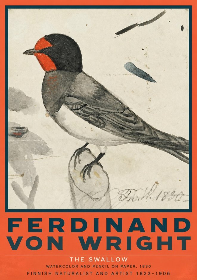 Ferdinand von Wright The Swallow No2 - Plakát
