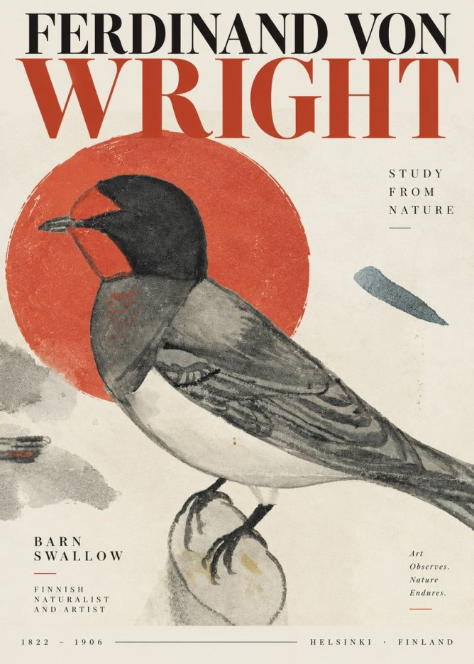 Ferdinand von Wright The Swallow No4 - Plakát