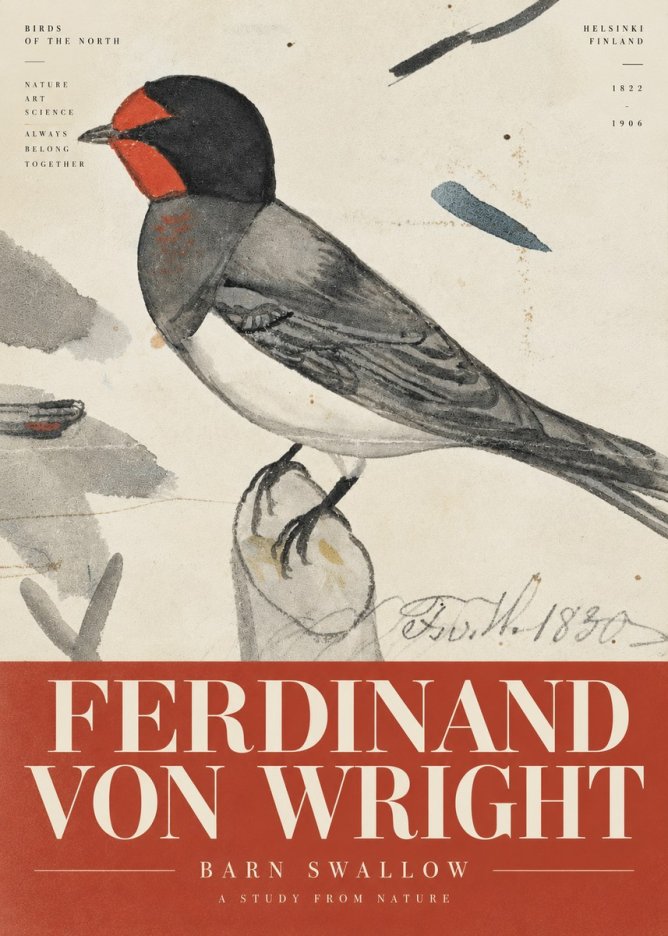 Ferdinand von Wright The Swallow No6 - Plakát
