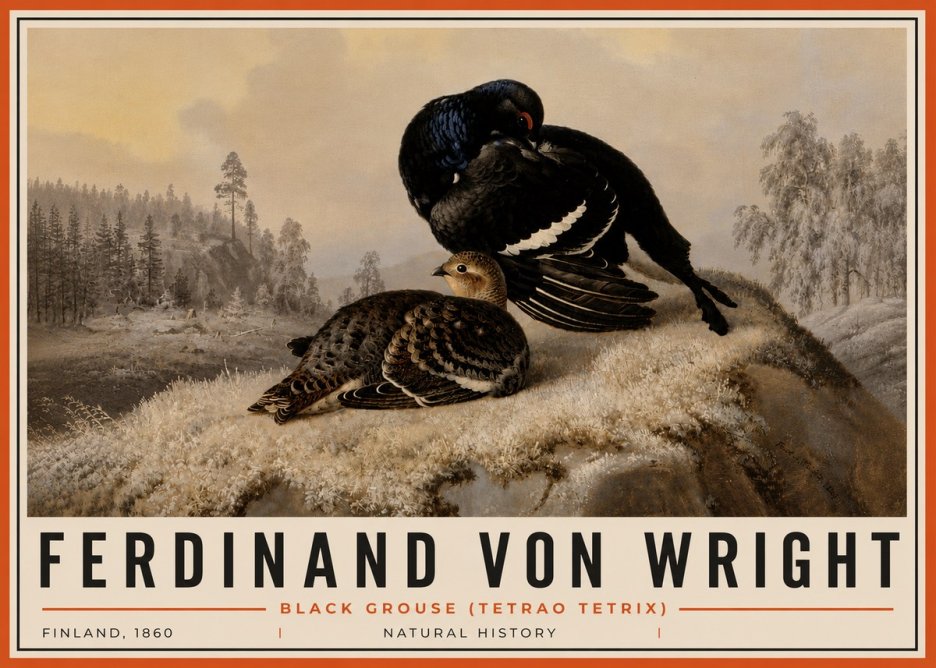 Ferdinand von Wright Black Grouse (Tetrao Tetrix) No6 - Plakát
