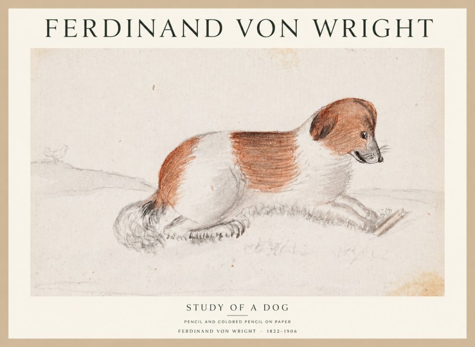 Ferdinand von Wright Study of a Dog No1 - Plakát