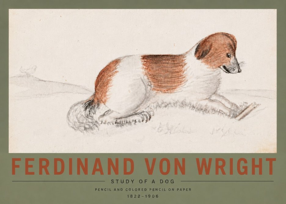 Ferdinand von Wright Study of a Dog No5 - Plakát