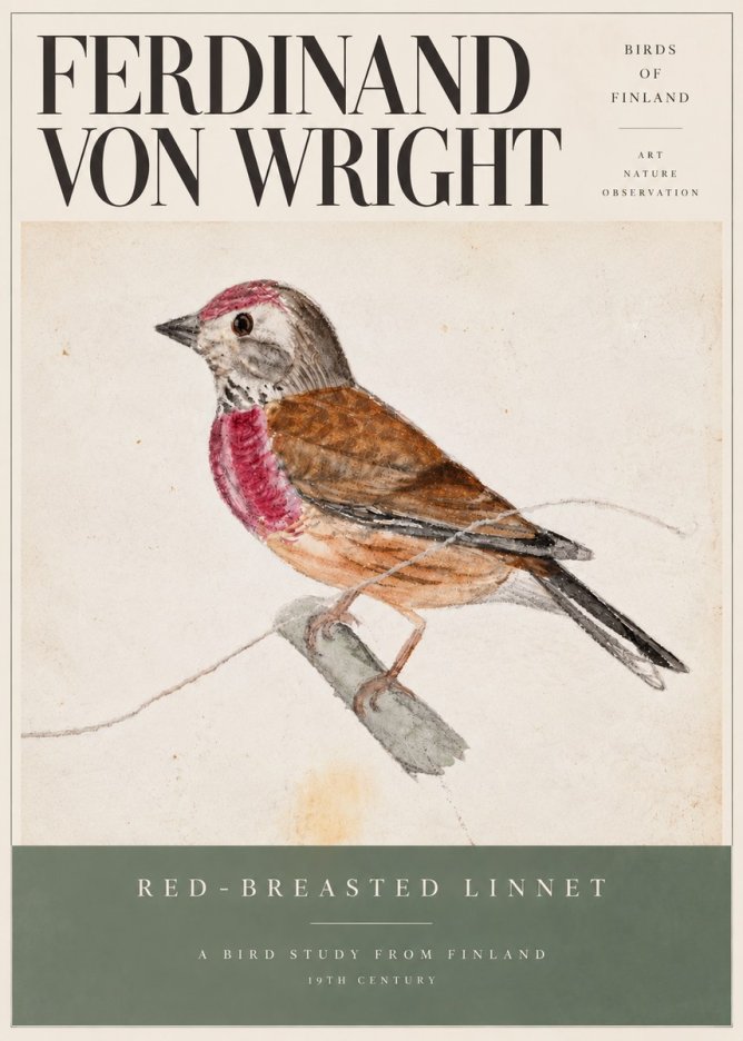 Ferdinand von Wright Bird Study No6 - Plakát