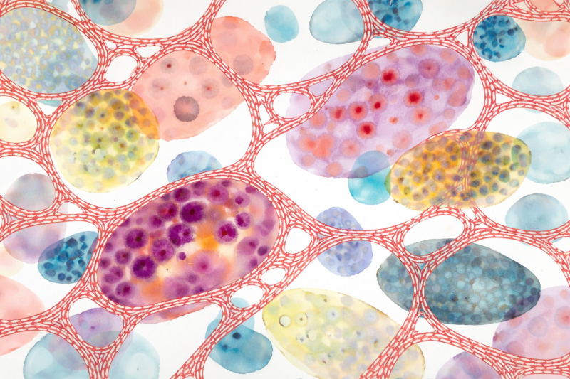 Uploaded
wallpaper