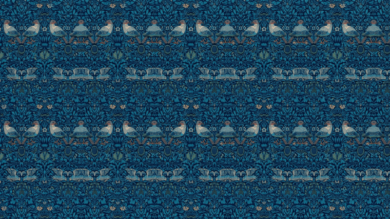 Uploaded
wallpaper