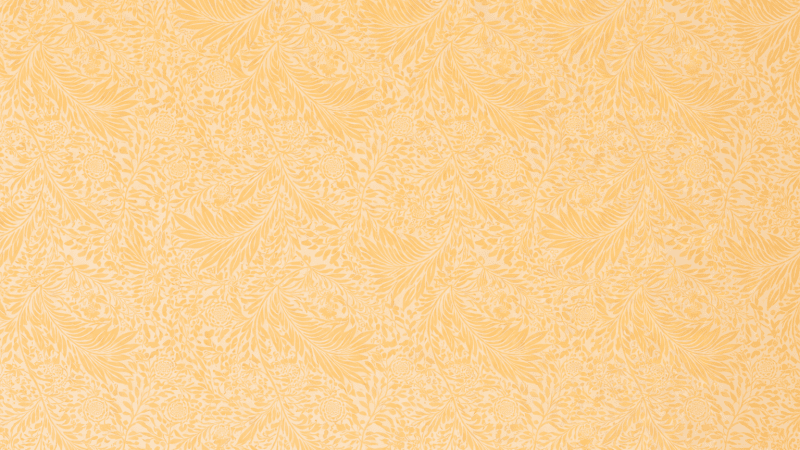 Uploaded
wallpaper
