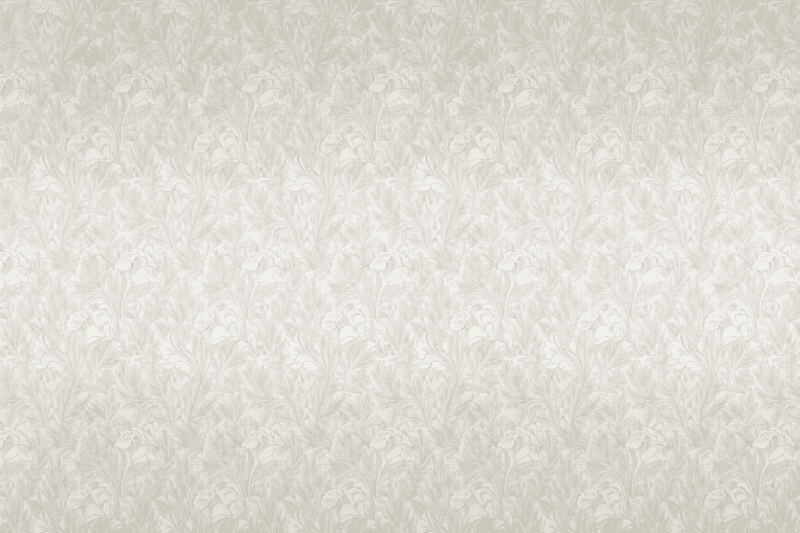 Uploaded
wallpaper