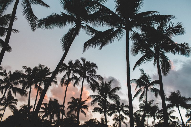Uploaded
wallpaper