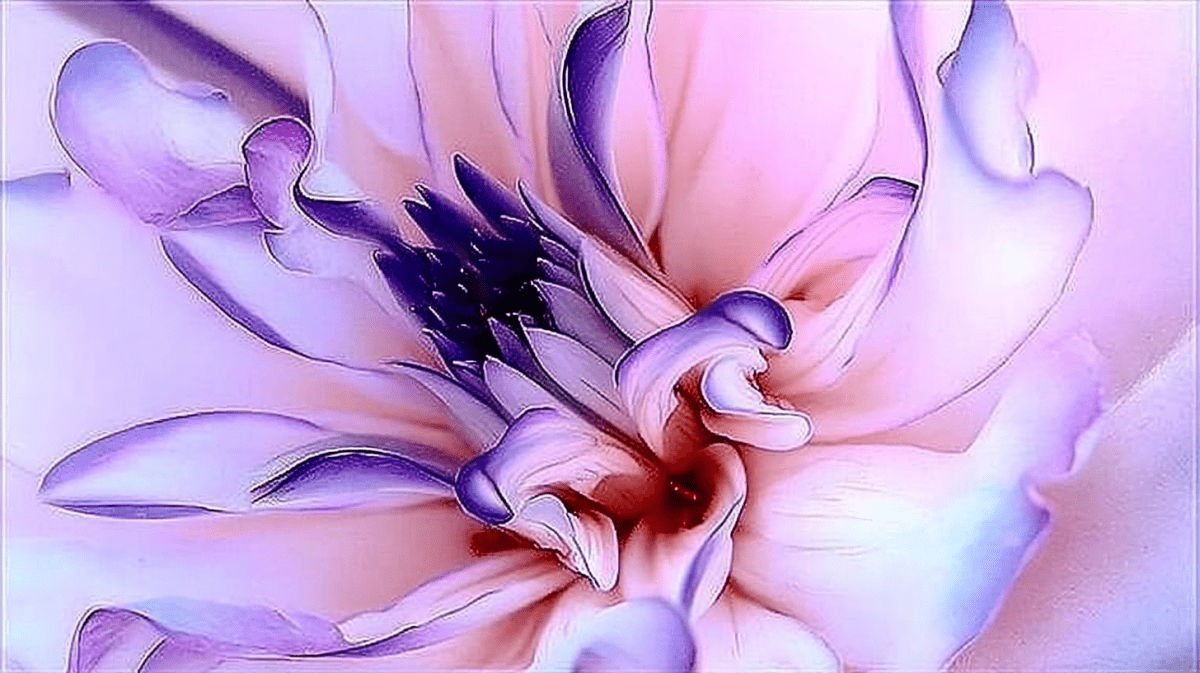Petal Swirl