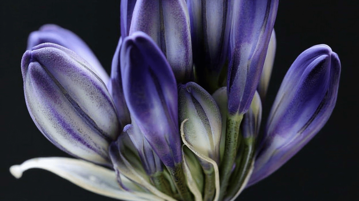 Fjord Reverberations