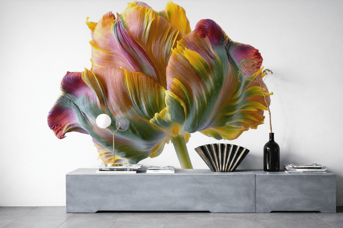 Ruffled Radiance