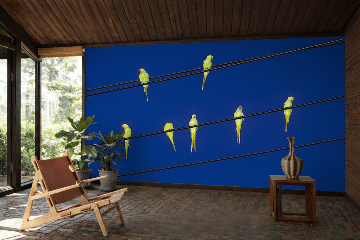 Wire Canopy Flock