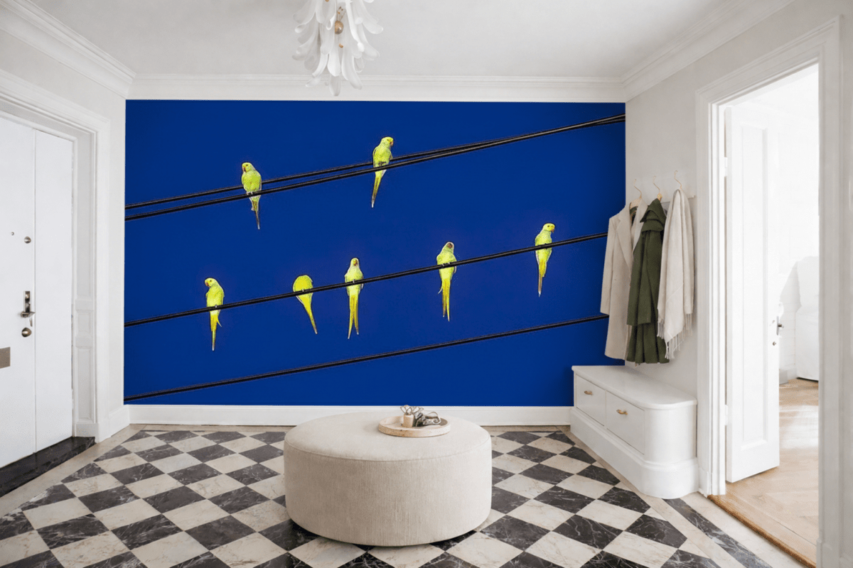 Wire Canopy Flock