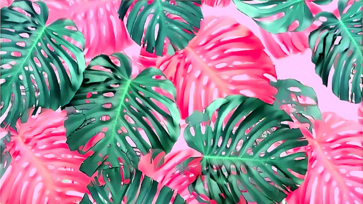 Tropical Veil Ii