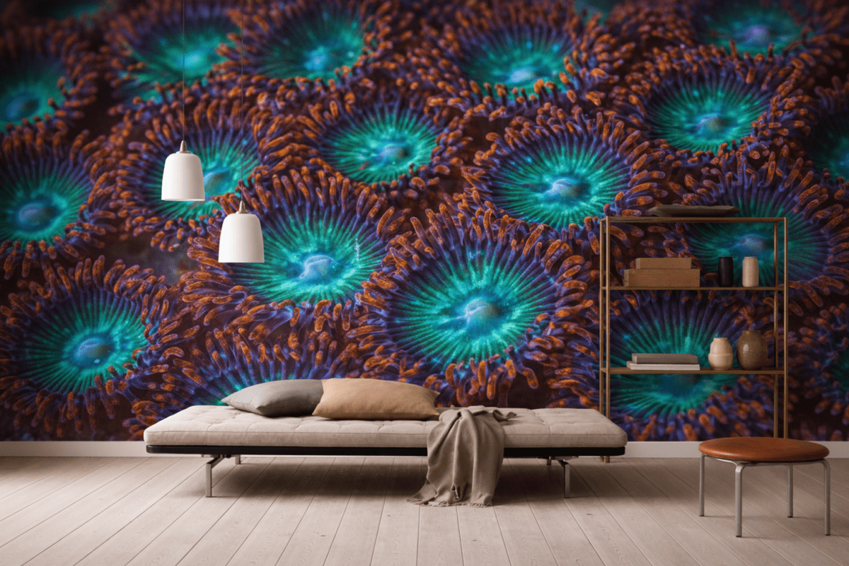 Ember Reefscape