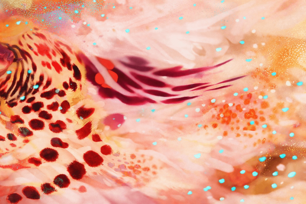 Blushing Petals