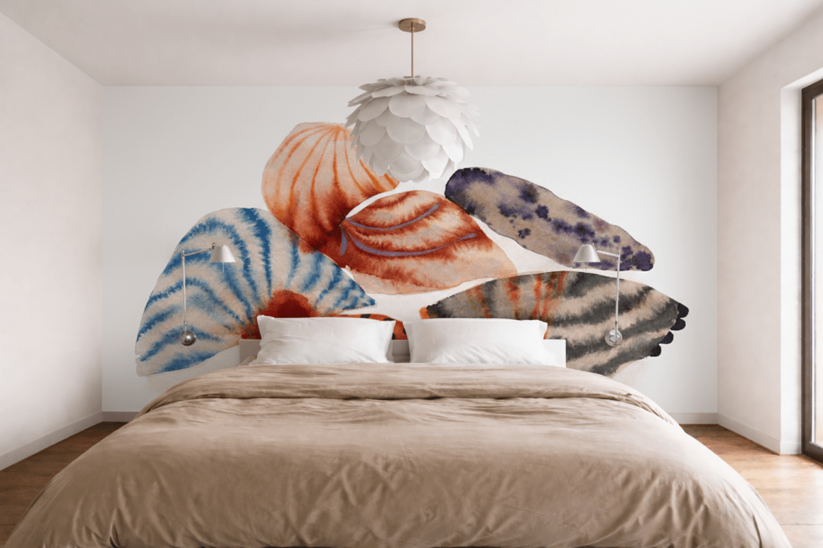 Shell Collection