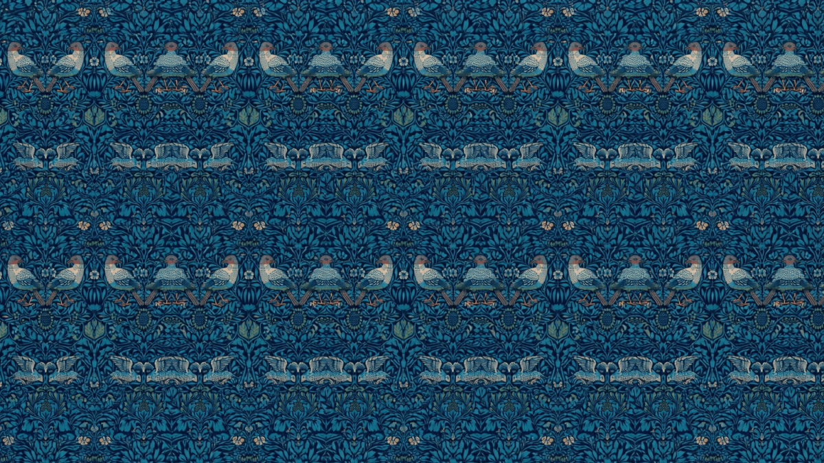 Aerial Canopy Layer