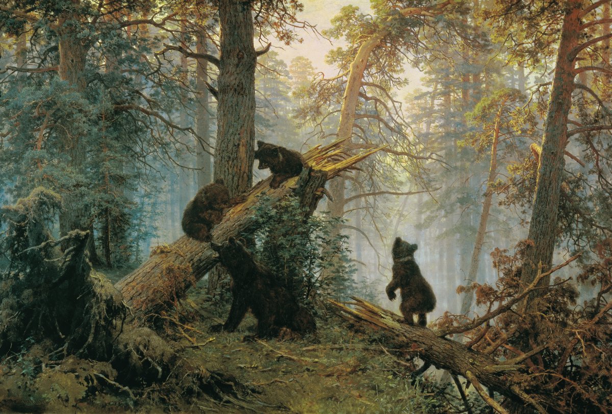 Forest Reverie