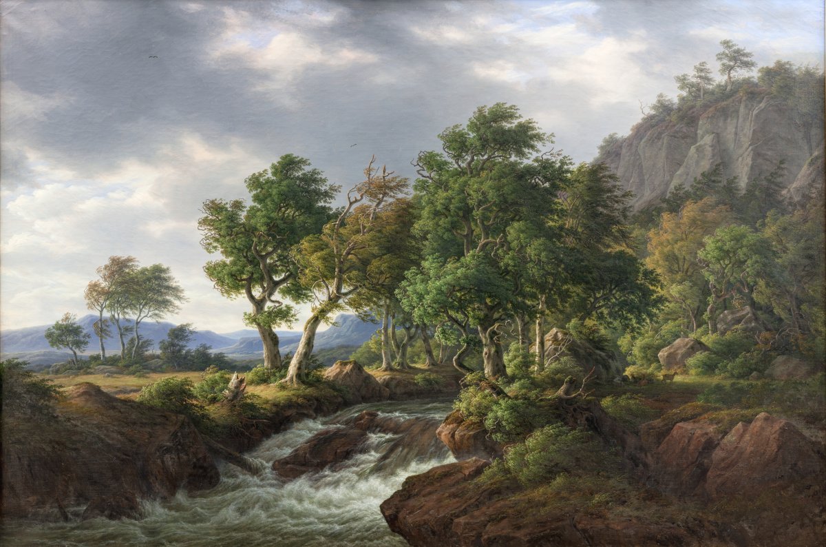 Grove Reverie
