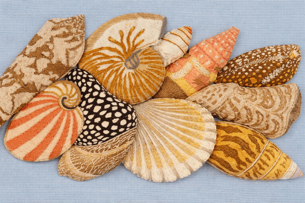 Seashell Mosaic
