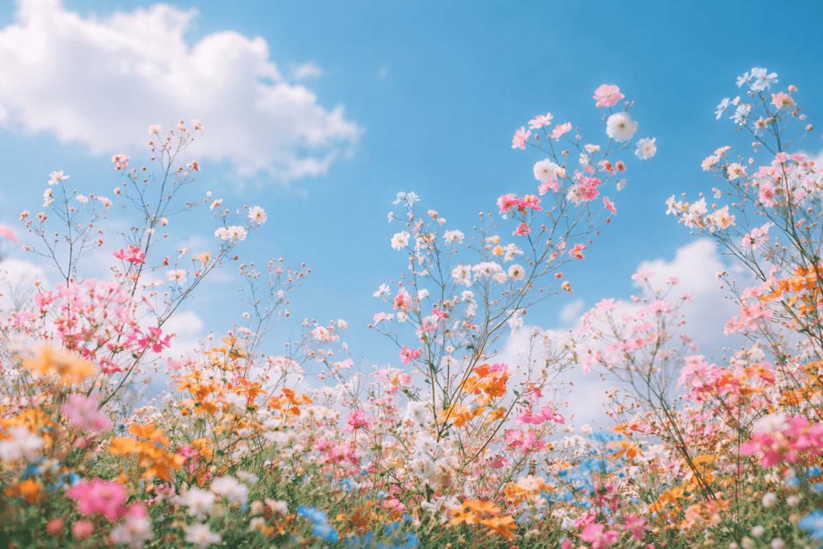 Floral Radiance