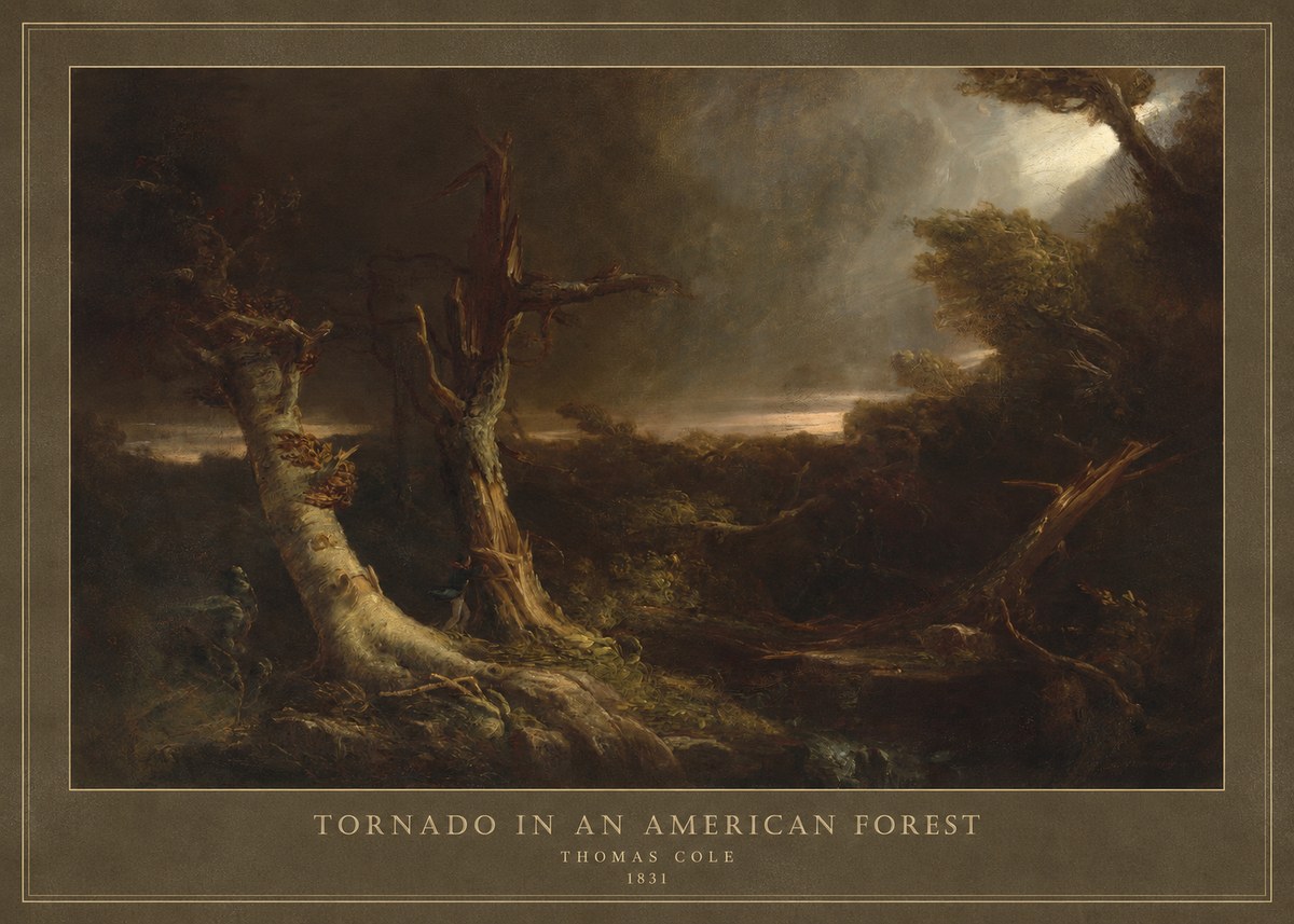 Thomas Cole Tornado in an American Forest No4 - Plakát