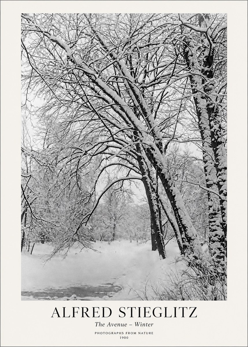 Alfred Stieglitz The Avenue – Winter No1 - Plakát