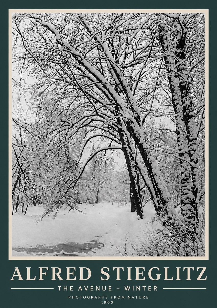 Alfred Stieglitz The Avenue – Winter No3 - Plakát