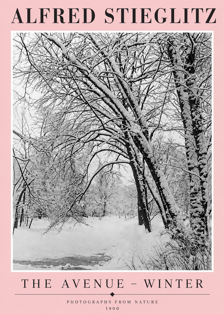 Alfred Stieglitz The Avenue – Winter No4 - Plakát