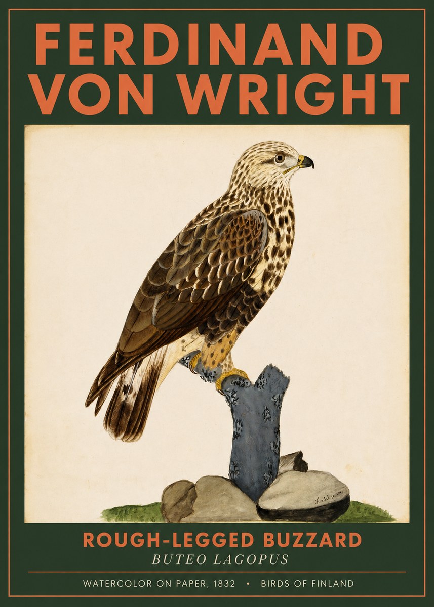 Ferdinand von Wright Rough-legged Buzzard No2 - Plakát