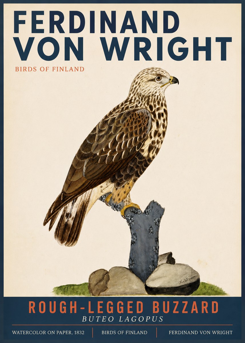 Ferdinand von Wright Rough-legged Buzzard No3 - Plakát