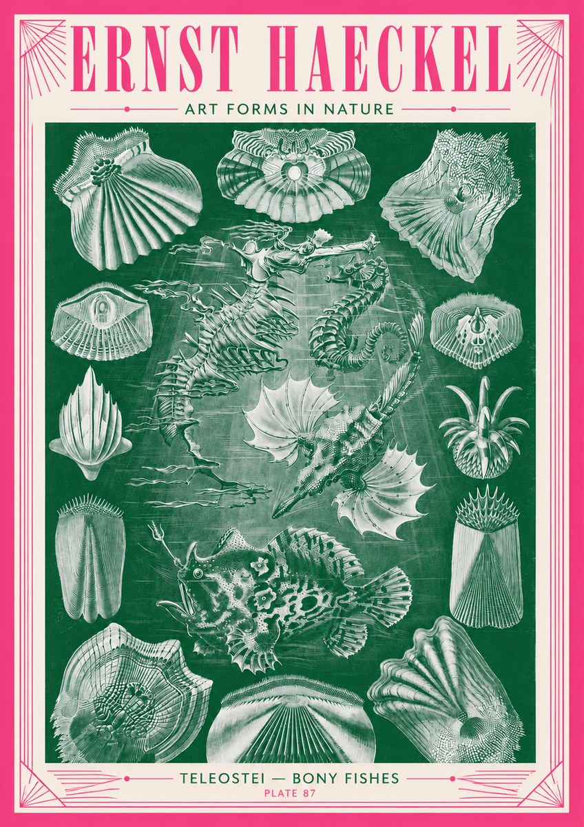 Ernst Haeckel Teleostei - Bony Fishes No3 - Plakát