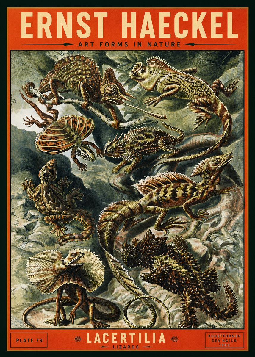 Ernst Haeckel Lacertilia Lizards No2 - Plakát