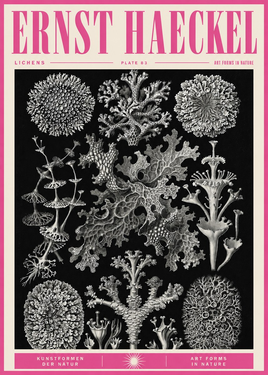 Ernst Haeckel Lichens - Plate 83 No5 - Plakát