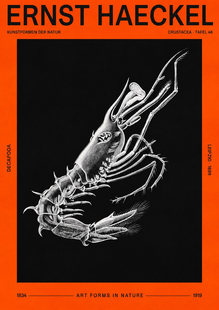 Ernst Haeckel Decapoda the Crustaceans No3 - Plakát