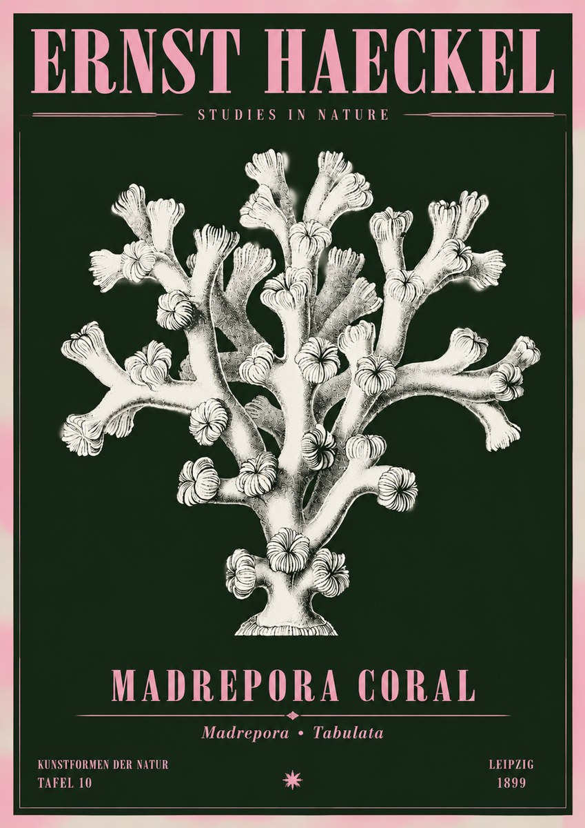 Ernst Haeckel Corallium Rubrum I No5 - Plakát